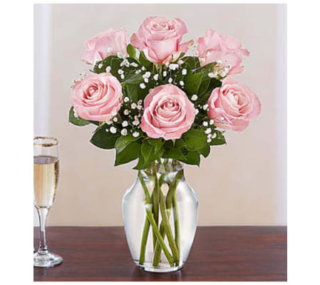 Six Pretty Pink Roses