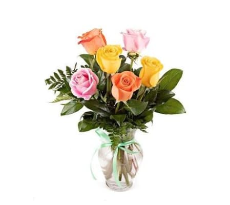 Six Mixed Roses