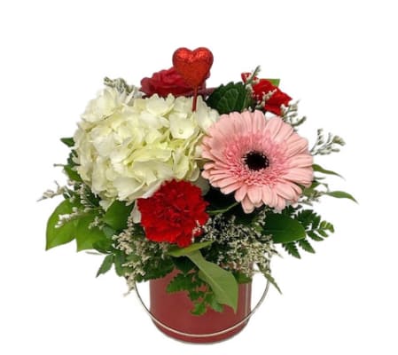 Colour Your Day With Love