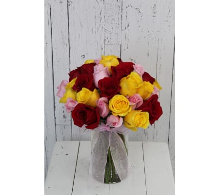 36 Mystery Color Rose Special