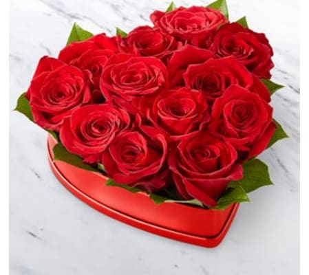 Dozen Gift Boxed Red Roses