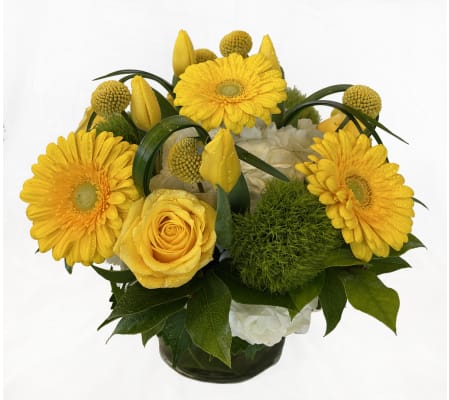 Sunny Days Are Here Again