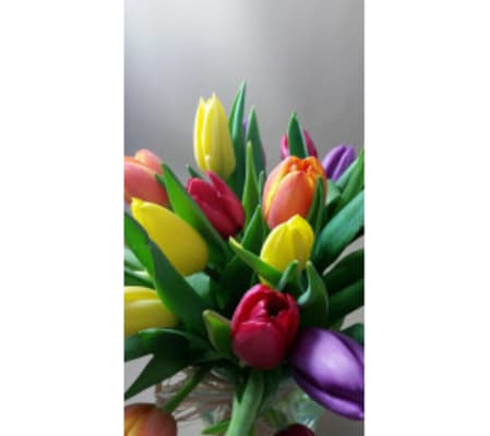 Springy Bouquet of Tulips