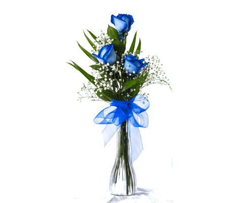 3 Blue Roses in a Vase