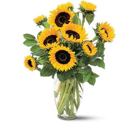 Shining Sunflowers Bouquet