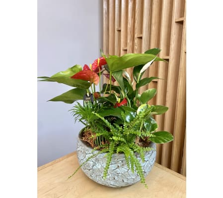 Anthurium & Peace Lilly Planter Vintage Ceramic