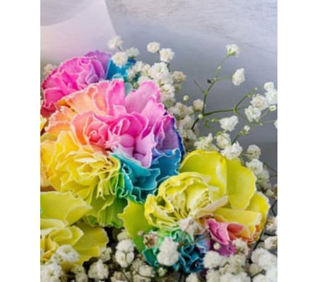 RAINBOW CARNATION DEAL