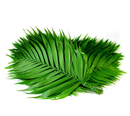 PALM LEAF BUNDLES FOR PALM SUNDAY