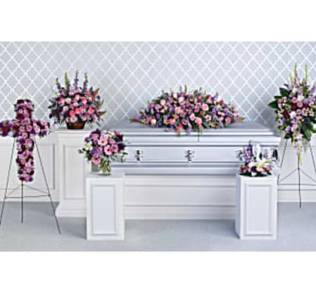 Pastel Family Collection