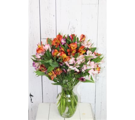 Perfect Alstroemeria