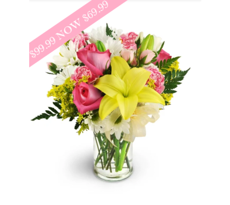 The Prettiest Picture Premium Special