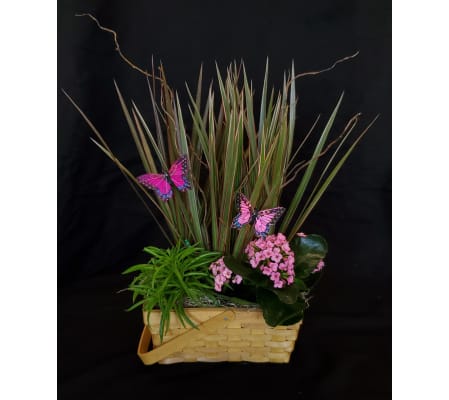 The West Wind Garden