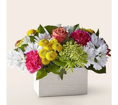 SPRING GARDEN WHITE BOX