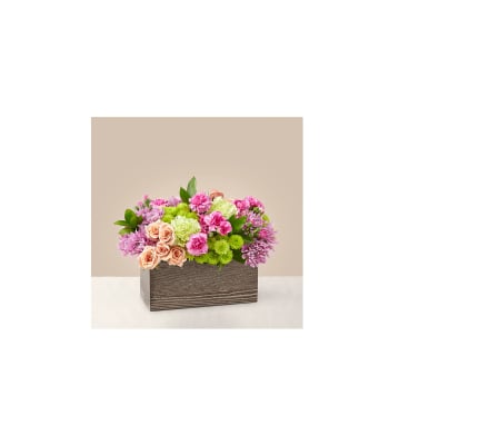 SPRING GARDEN BROWN WOODEN BOX