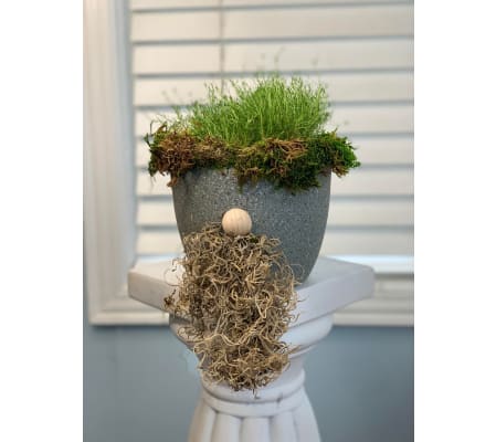 Irish Moss Gnome Planter