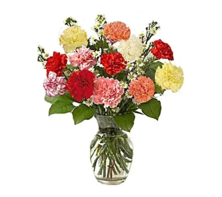 12 Carnations for Mother's Day