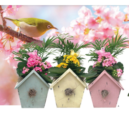 Sabrina Birdhouse Planter Dish Garden (1 Unit)