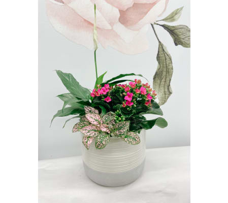 Spring mixed Planter