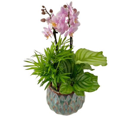 Fun Mixed Orchid Planter
