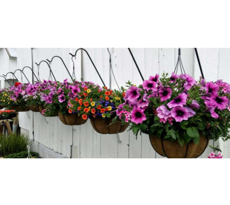 Designer Choice Spring Hanging Basket-M