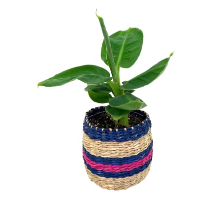 BOHO PLANTER MED