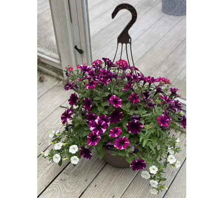 Mom's Bountiful Hanger