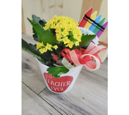 Teacher Gift- Flowering Plant