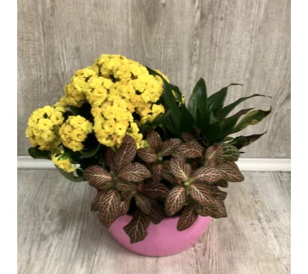 Bright Day Mix Planter