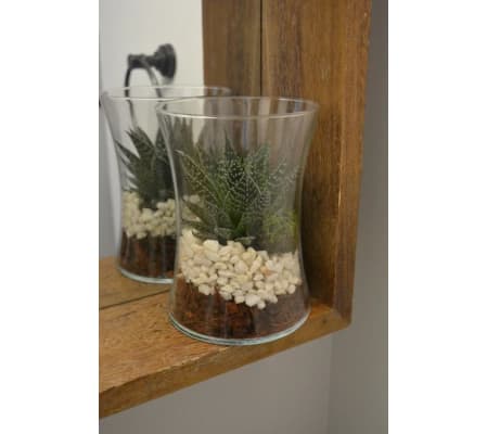 Otis Succulent Plant