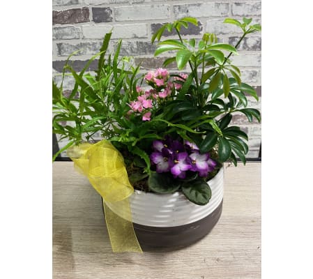 Two Tone ceramic blooming planter