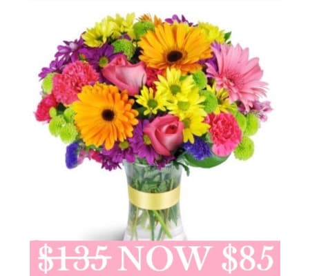 Premium Radiant Rainbow