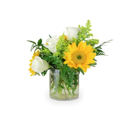 A Little Bit of Sunshine