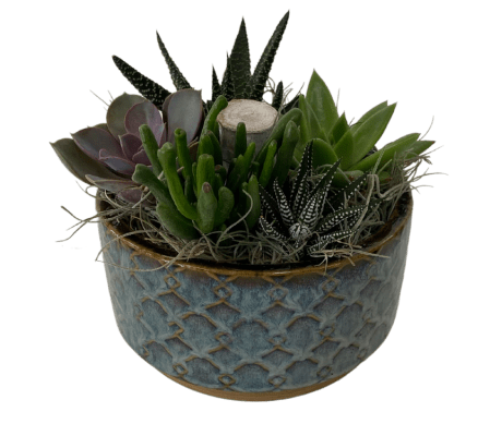 Vintage Teal Succulent Bowl