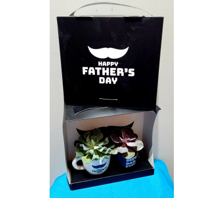 FATHER'S DAY PLANT SET