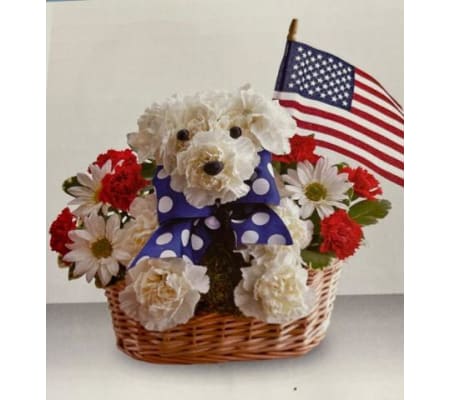 Yankee doodle doggie II