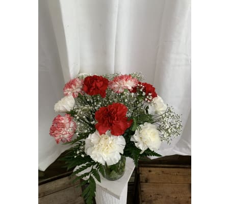 BLOWOUT CARNATION SPECIAL!