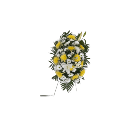 Sympathy Spry in Yellow