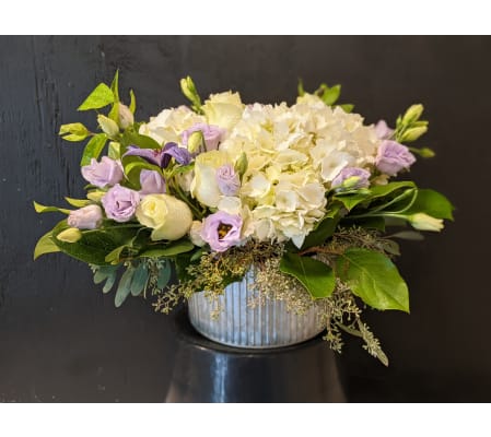 Purple and White Elegance