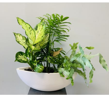 Modern White Boat Planter