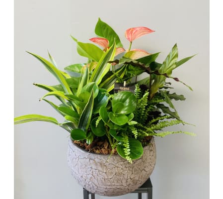 XL Gold Crackle Planter