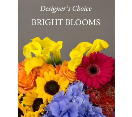 Designer's Choice Blooming Bright