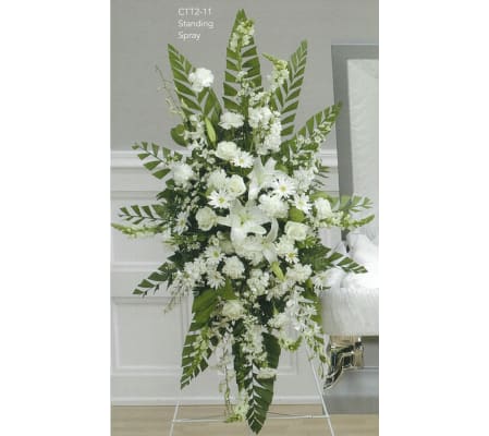 Hanging Spray CTT2-11