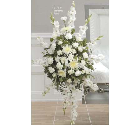 Hanging Spray CTT6-11