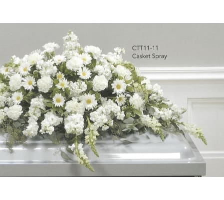 Casket Spray(Ctt11-11)