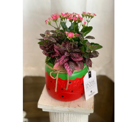 Strawberry Mason Jar Planter Garden