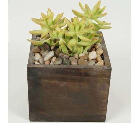 cube wooden succulent