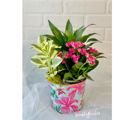 Summer Tropical Garden Pot