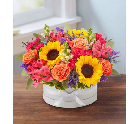 Elegant Beautiful Blooms