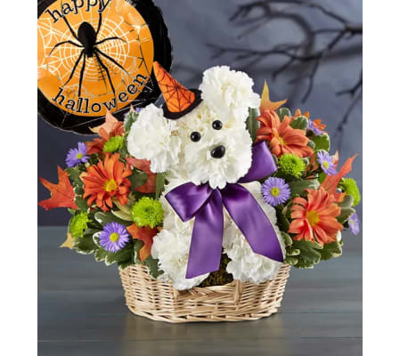 Halloween Witchy Pooch