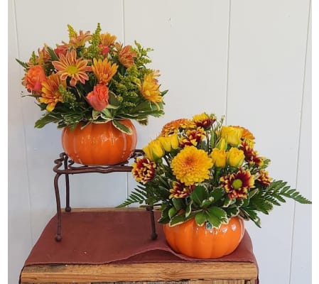 Pumpkin Posey